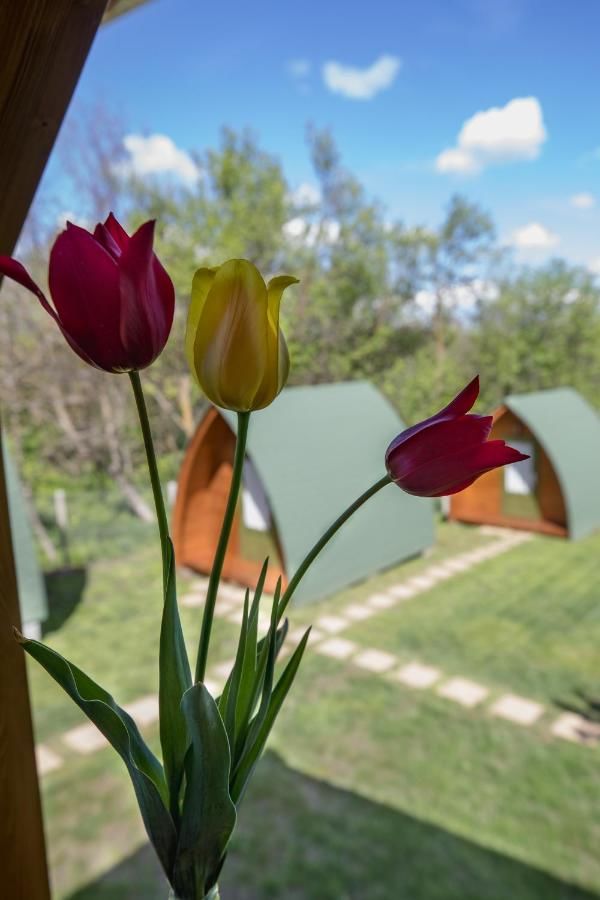 Кемпинги Tulipan Camping Sic-6