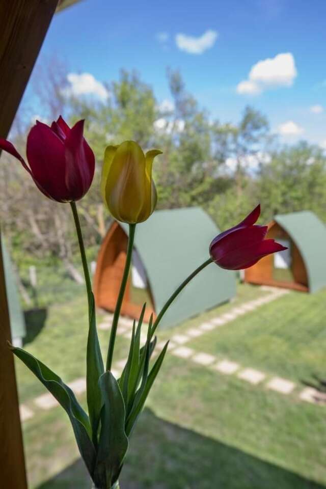 Кемпинги Tulipan Camping Sic-5